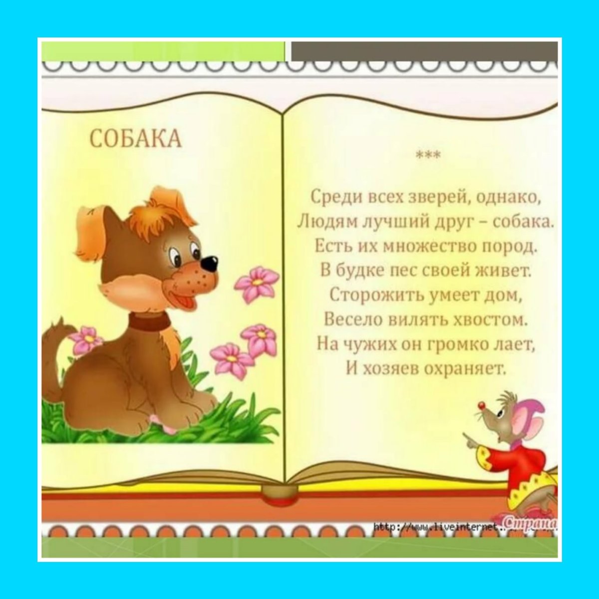 Детские стишки про животных