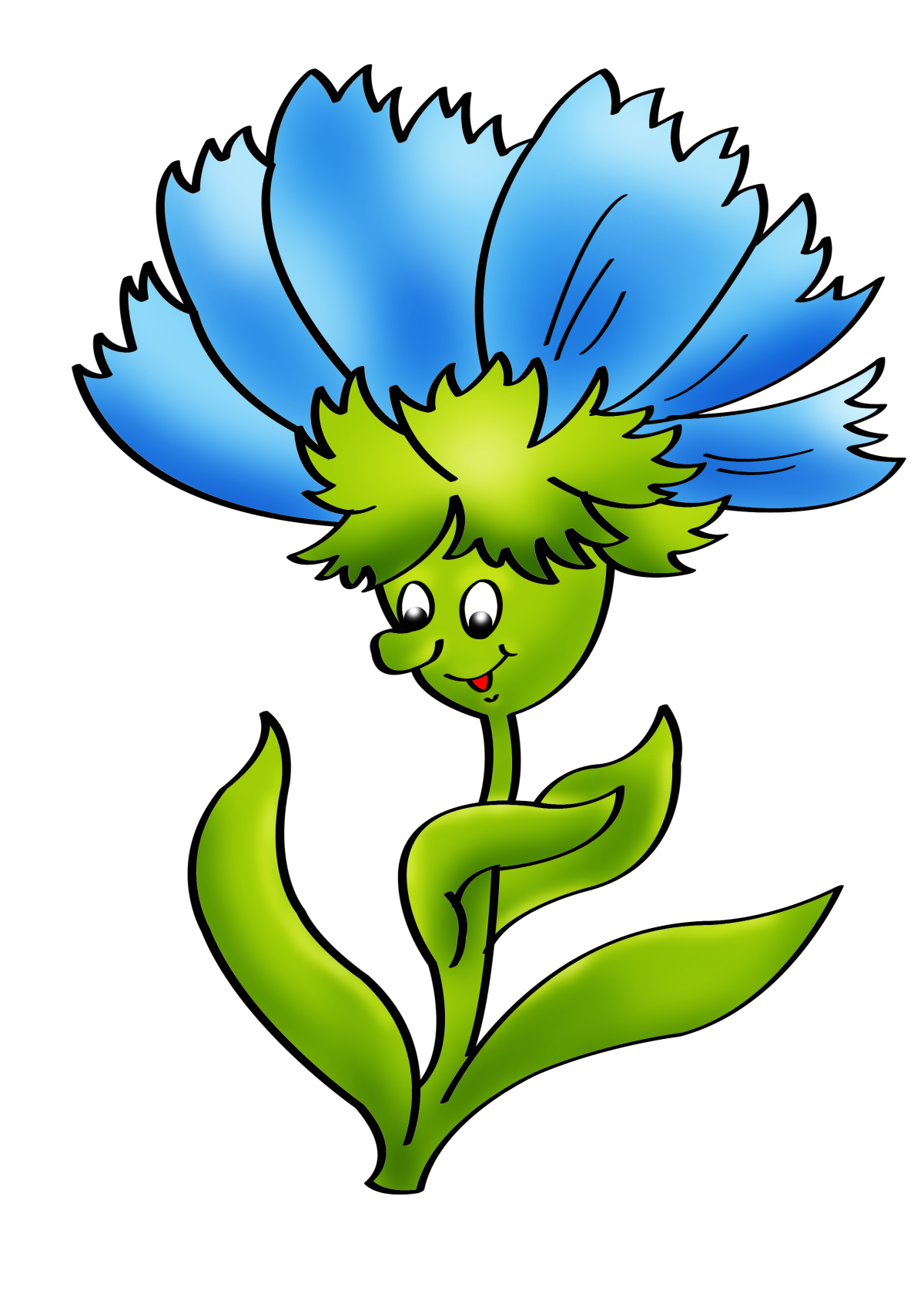 Василек 'pulchra Major'