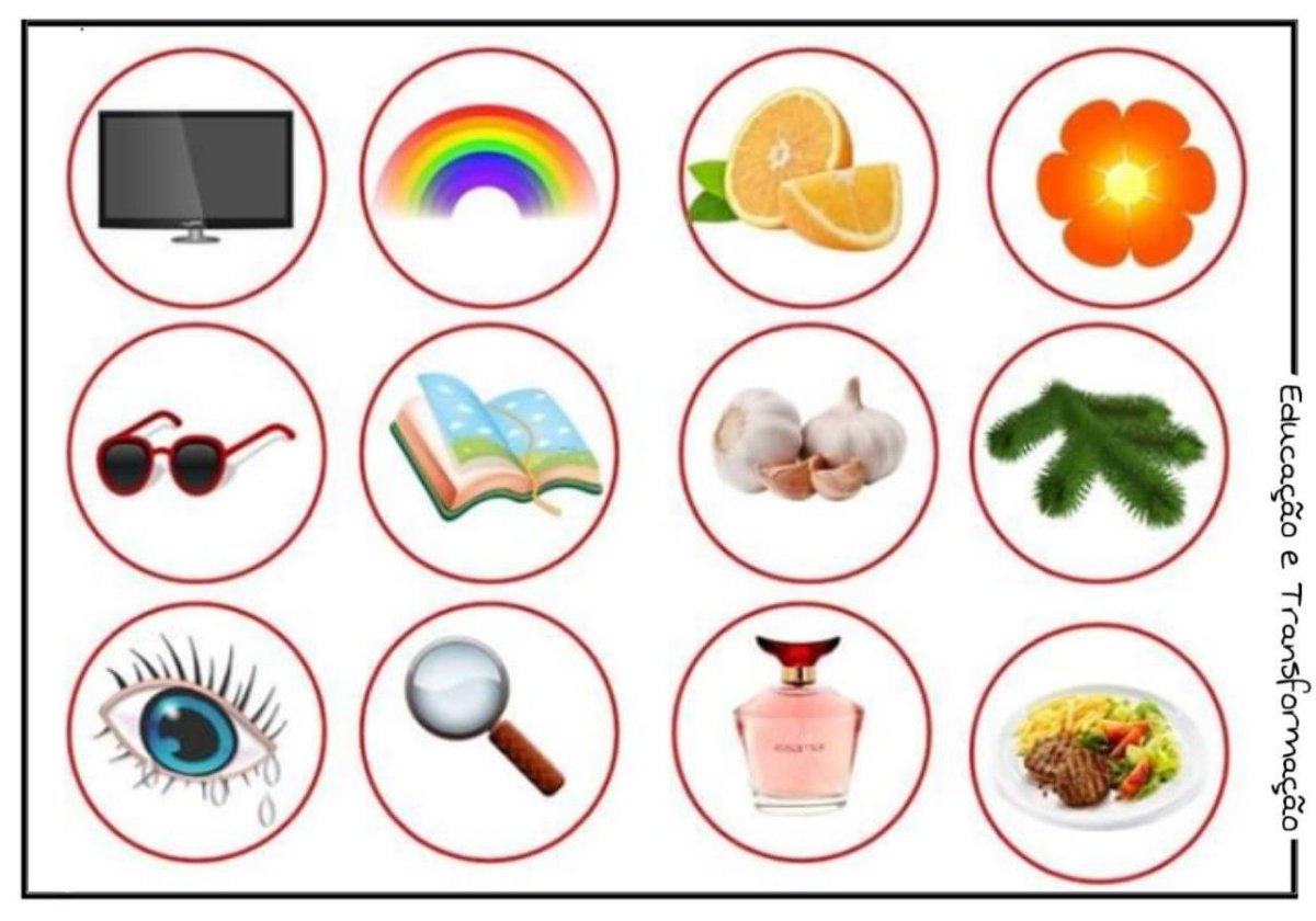 Дидактическая игра органы чувств для дошкольников