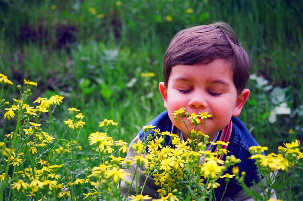 Обоняние для детей