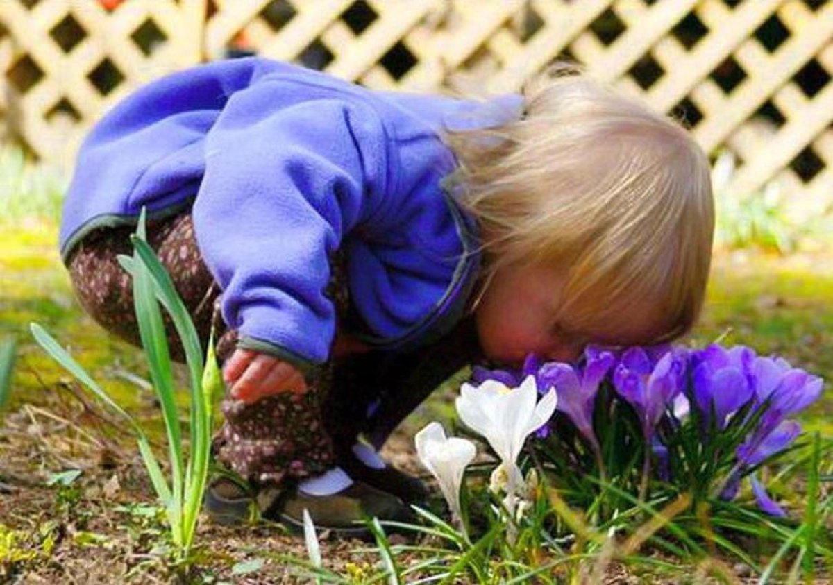 Ребенок нюхает цветок