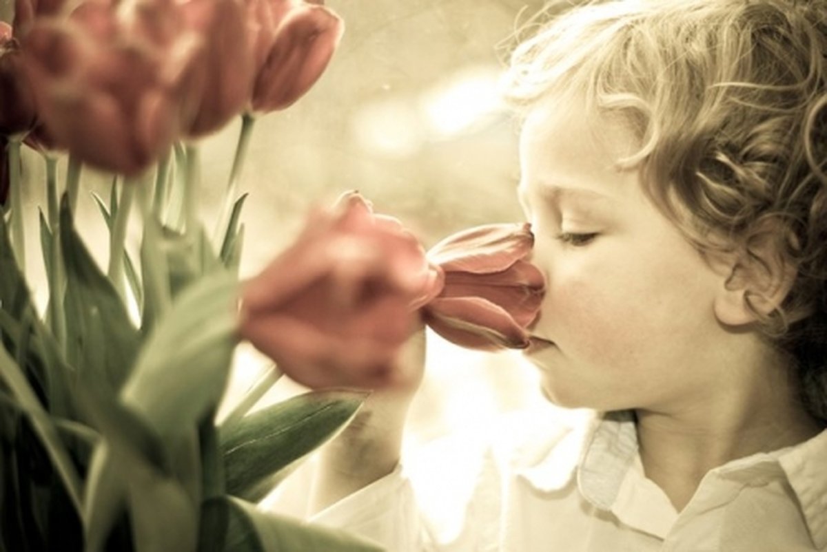 Цветы запахи и дети