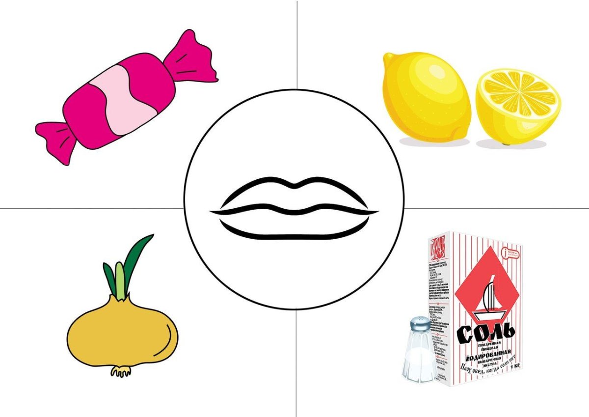 Игра органы чувств для дошкольников