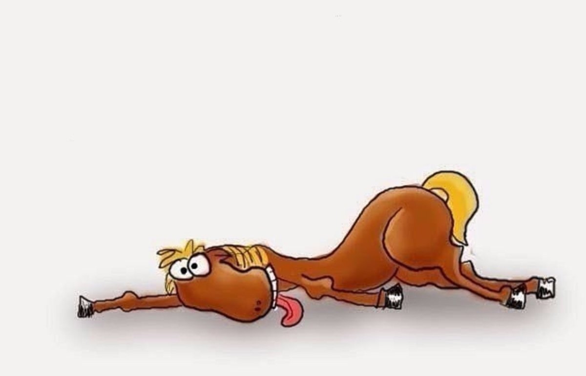 Уставшая лошадь прикол