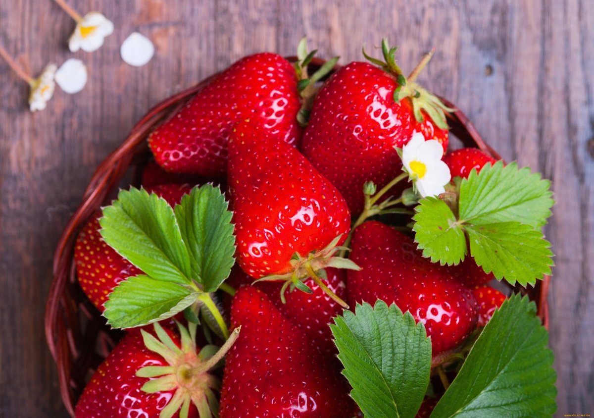 Клубника и земляника