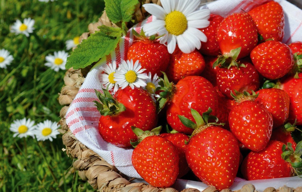 Клубника обои