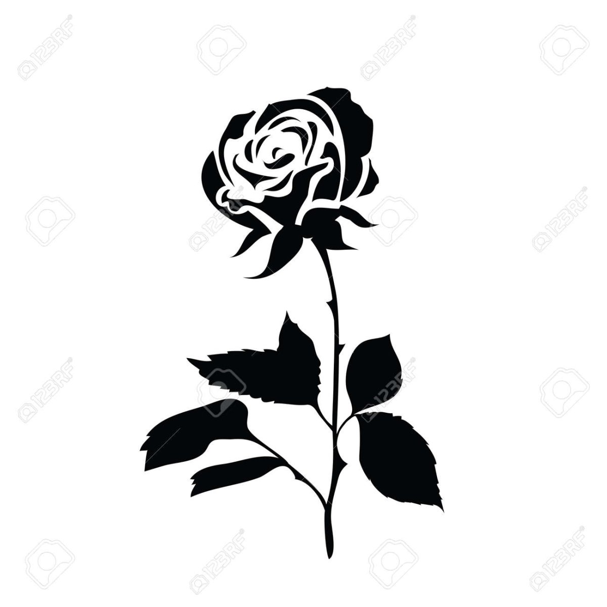 Силуэт белой розы на черном фоне