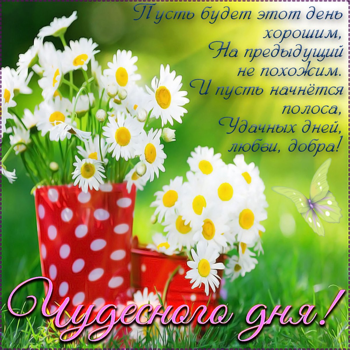 Доброго утро и отличногл настроения