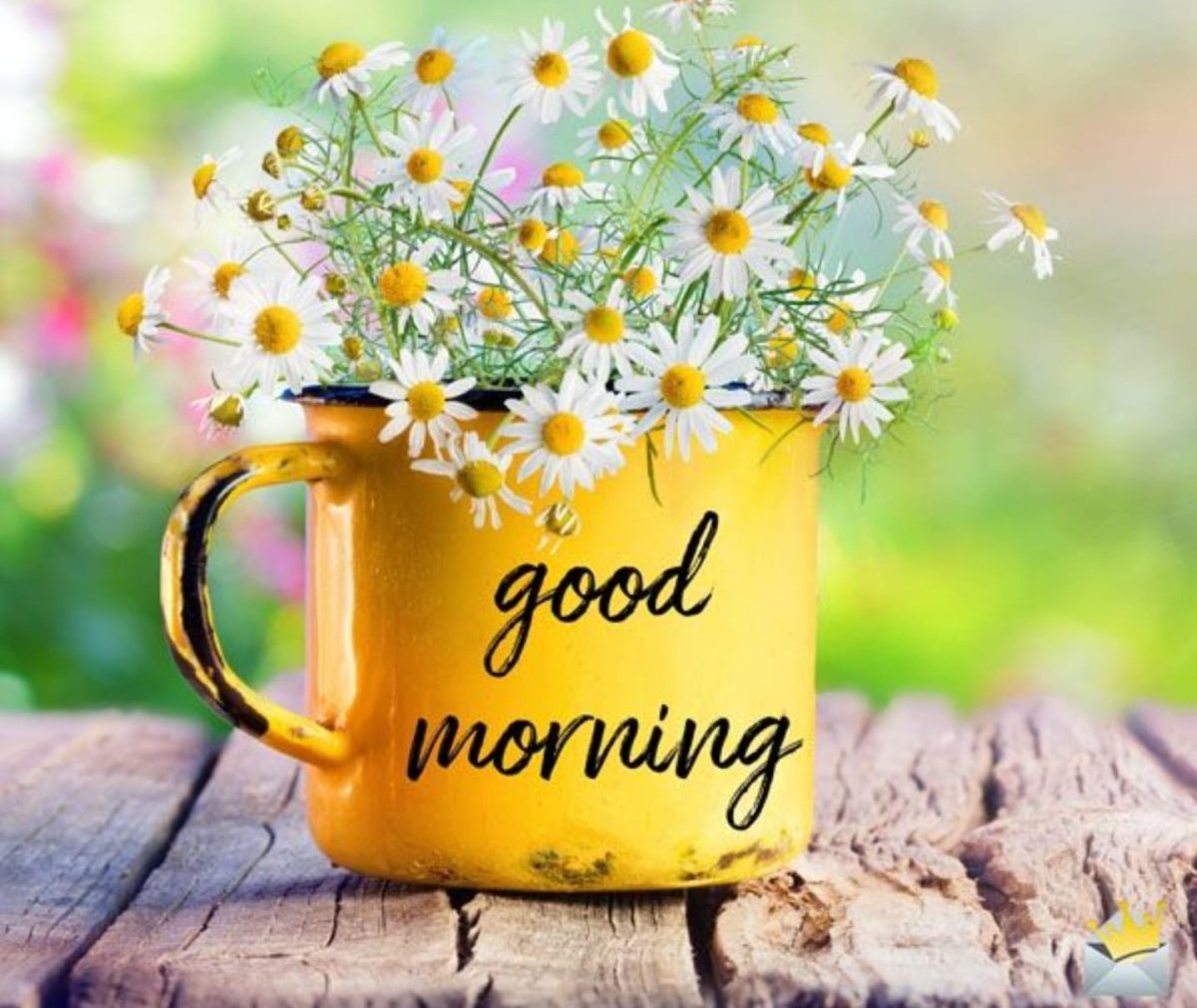 Открытки поздравления с добрым утром