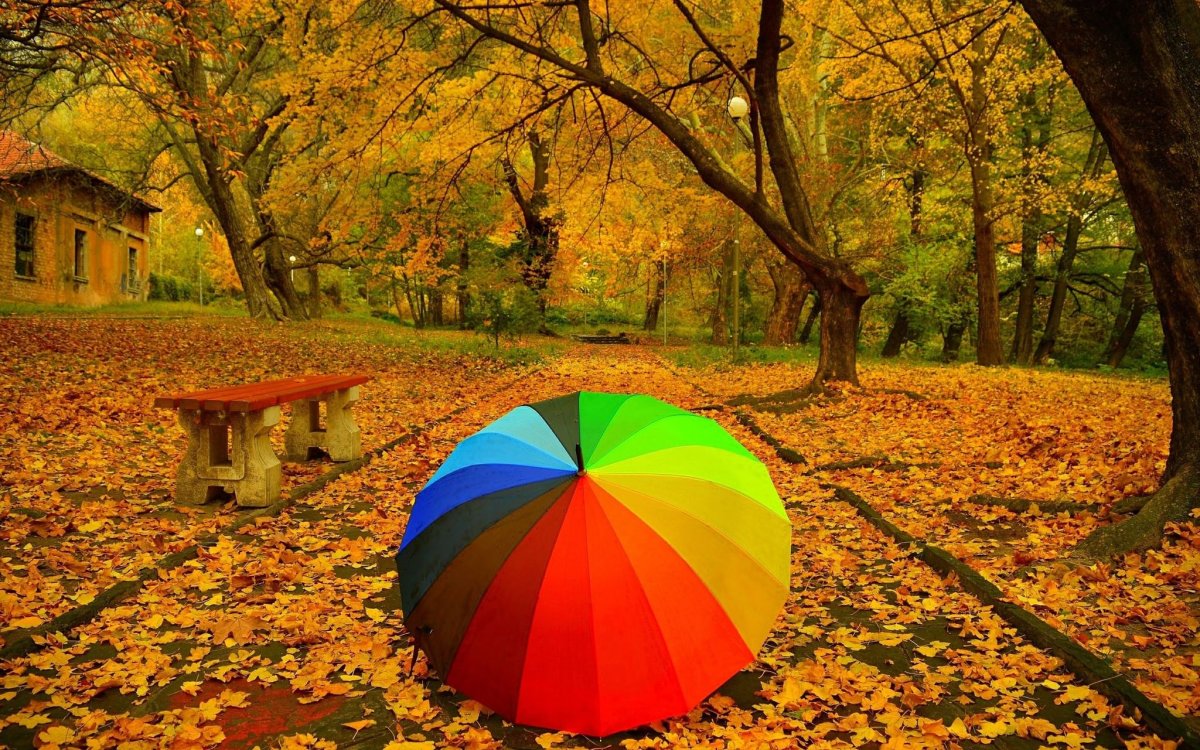 Яркие краски осени