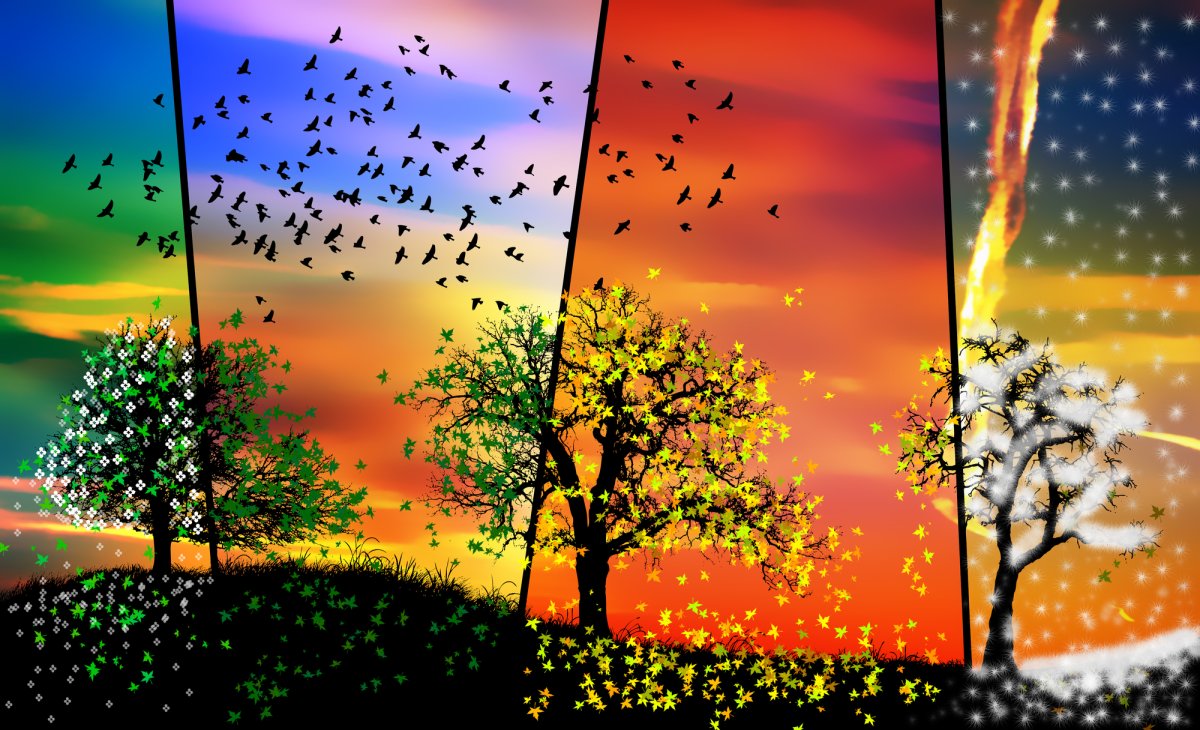 Футаж времена года