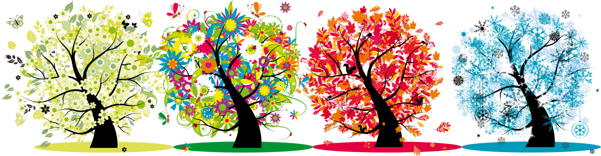 Времена года на дереве