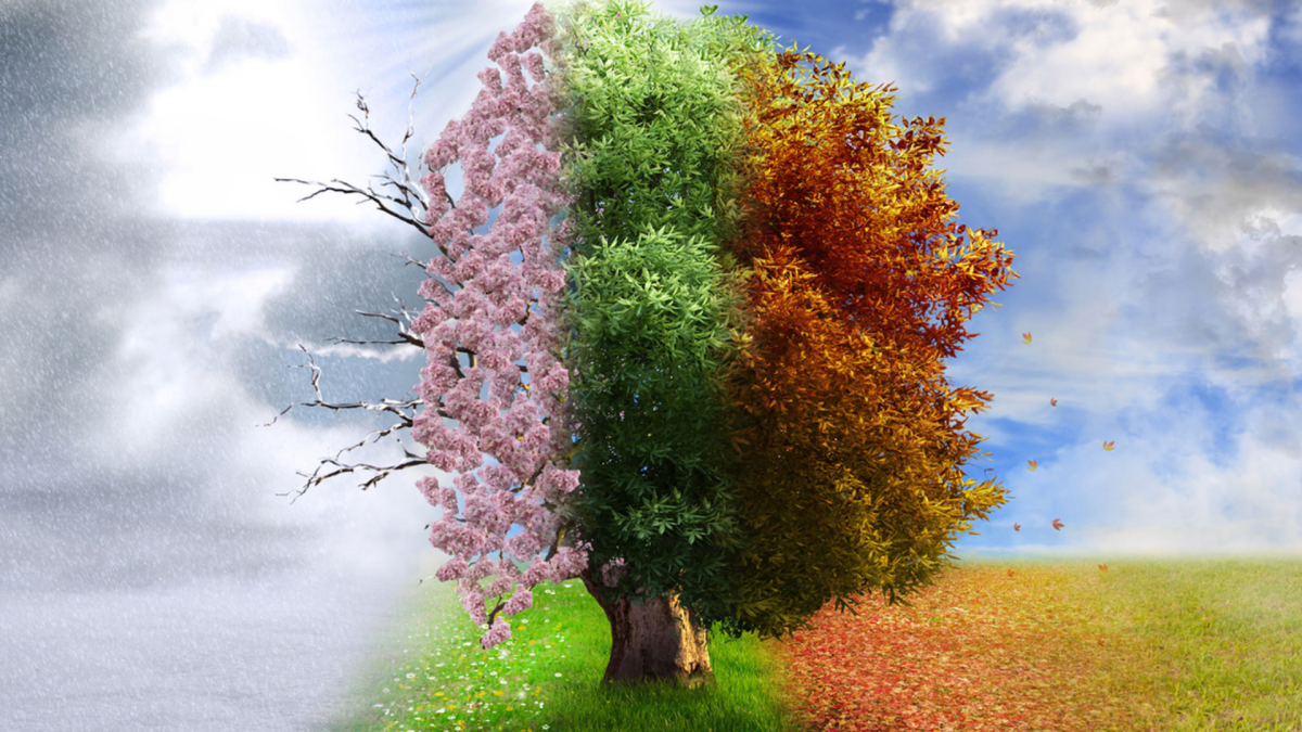 Пейзаж в четырёх времени года