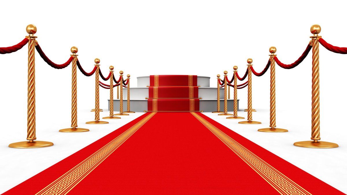 Кристен Уиг 2020