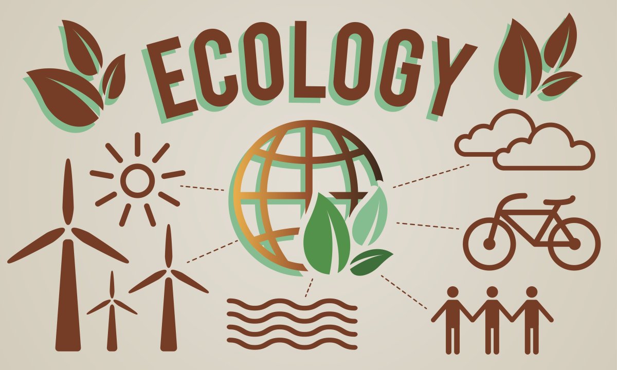 Экология Пинтерест