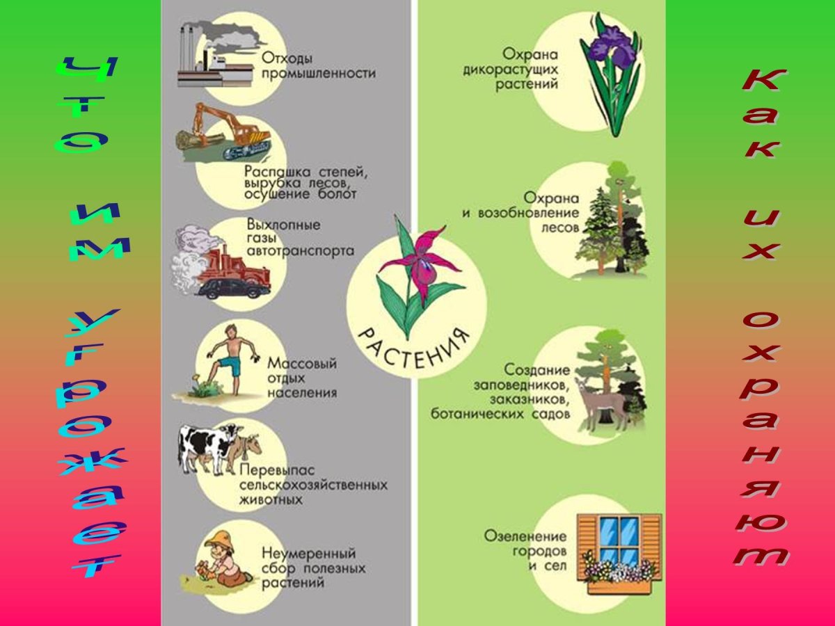 Охрана растений