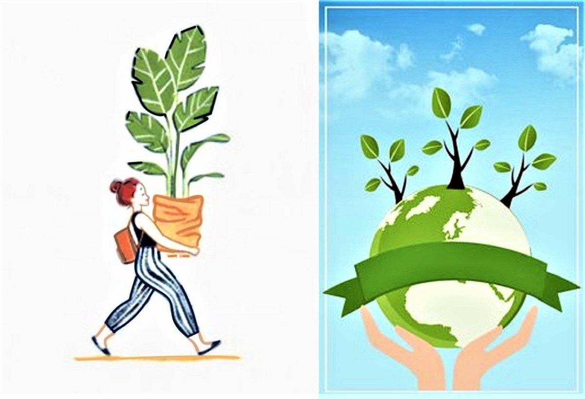 Берегите растения