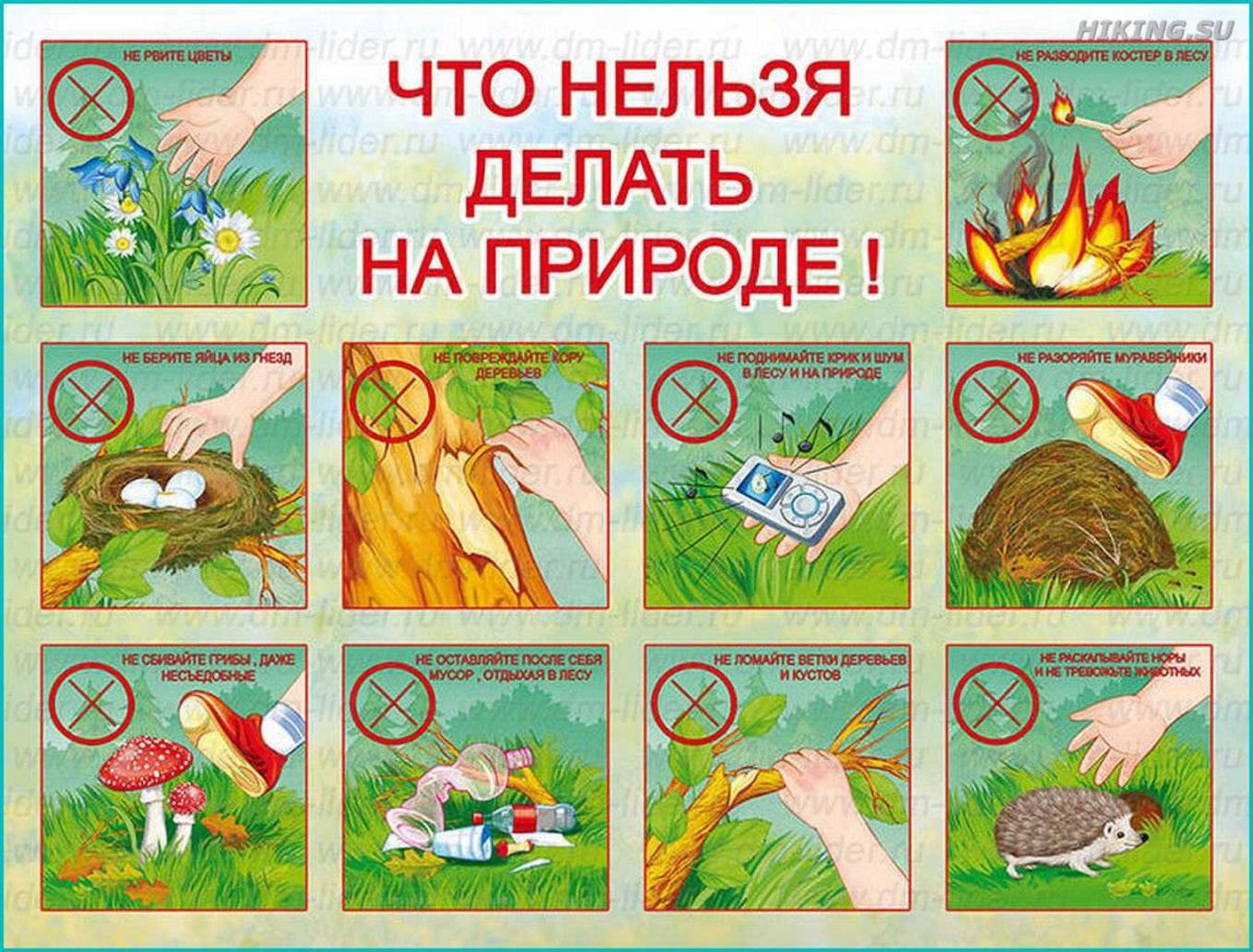 Павилапведенияв природе