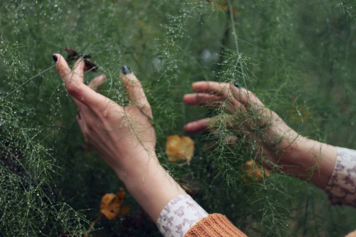 Руки на траве