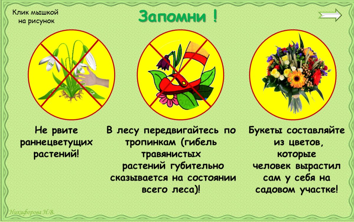 Берегите растения