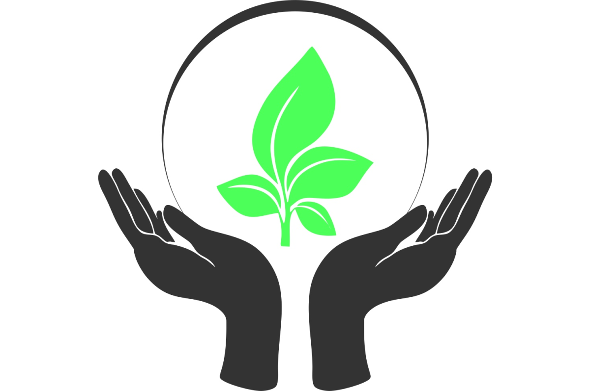 ООО шанс Энтерпрайз