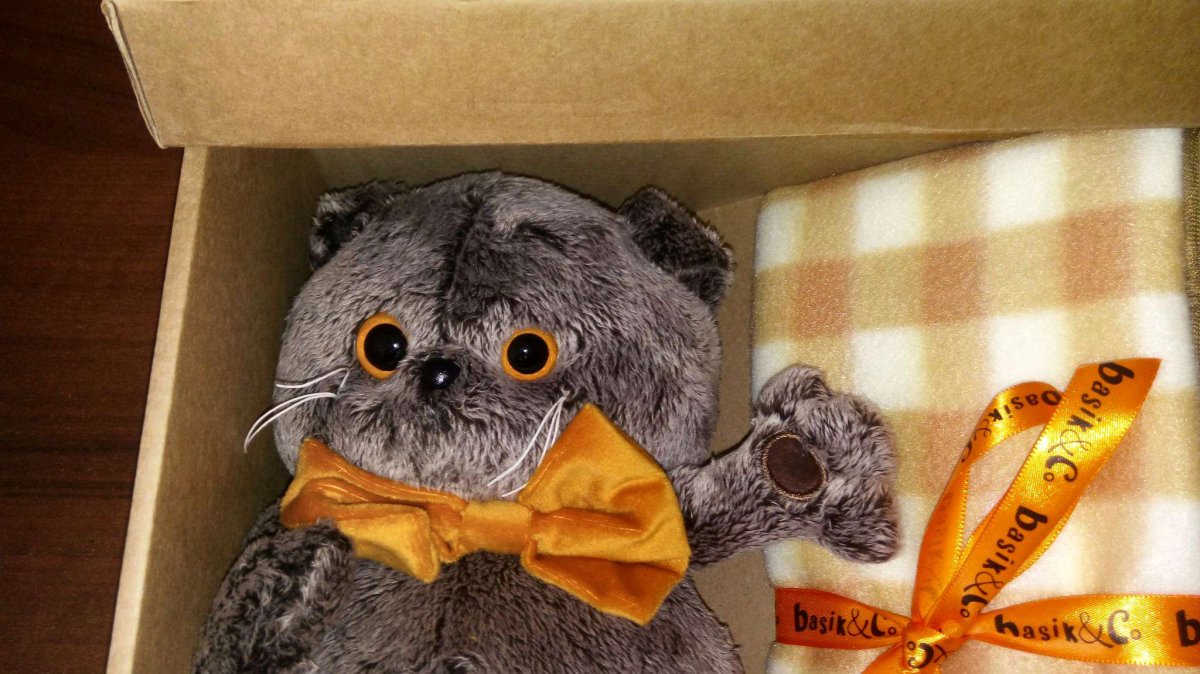 Ks19-063 Басик - бариста