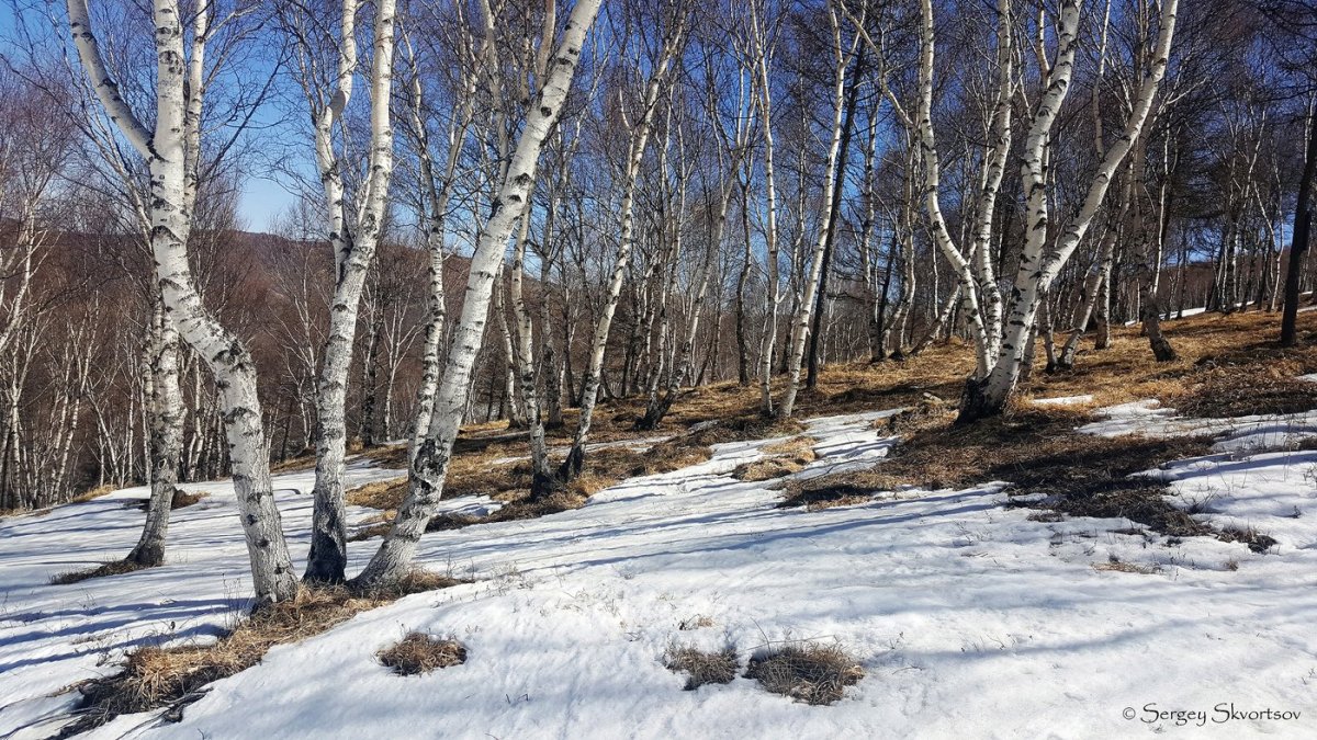 Природа Весна март