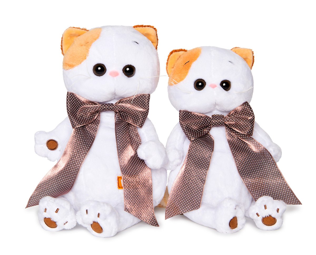 Басята надпись