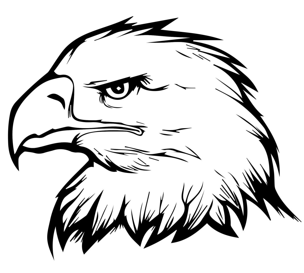 Орел черно белый