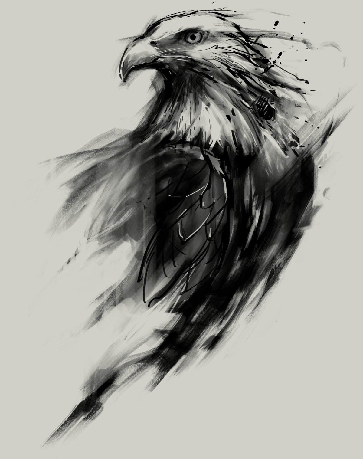 Парящий Орел Графика