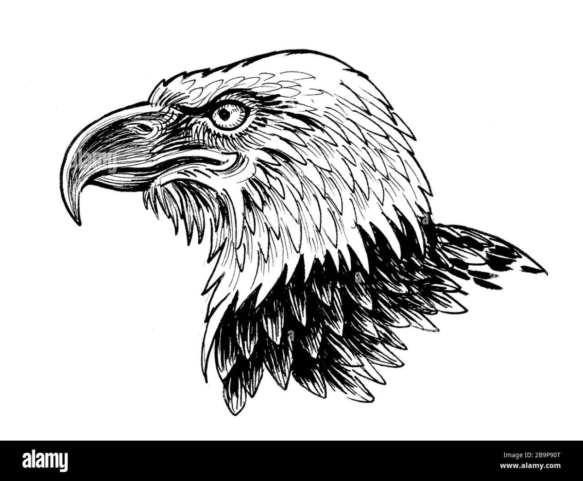 Орлята рисунок для эмблемы эскиз