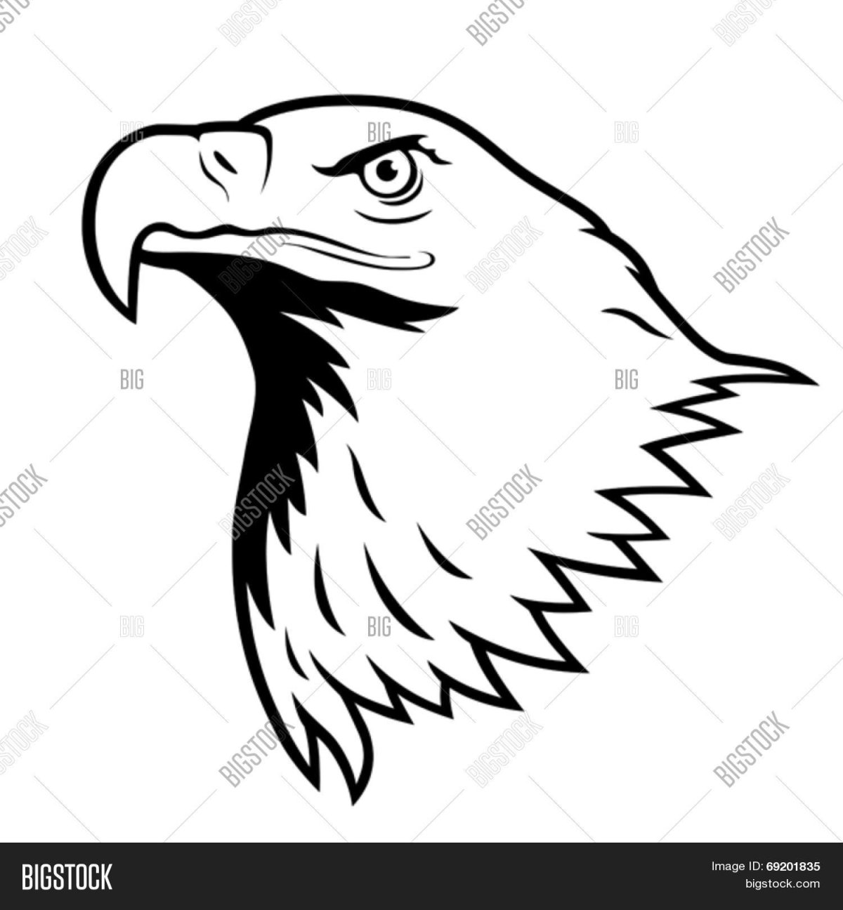 Рисунки Орлов