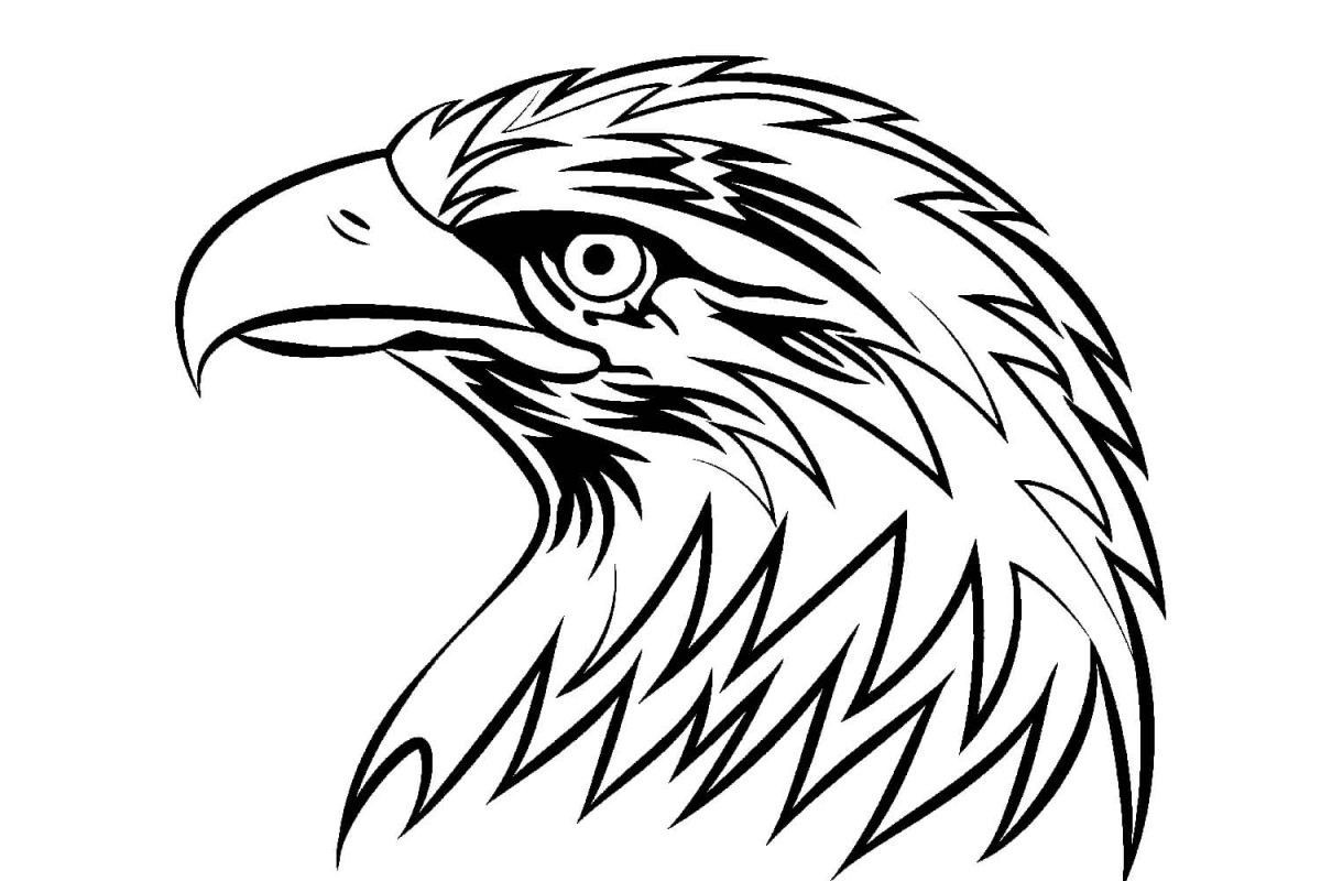 Эскиз орла с расправленными крыльями карандашом