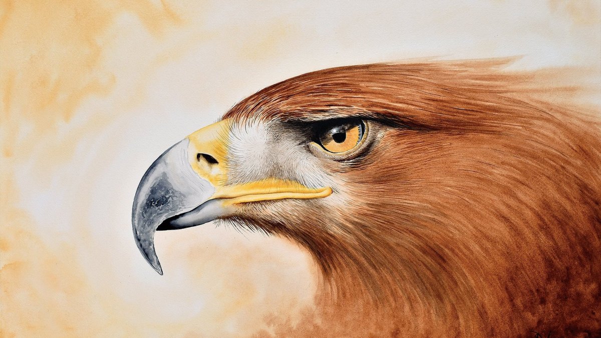 Летающий орёл акварель