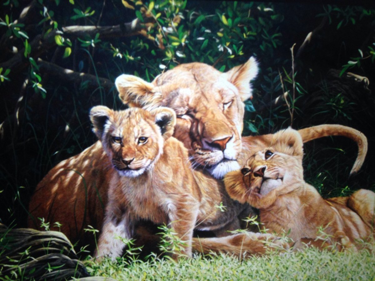 Львица и Львенок