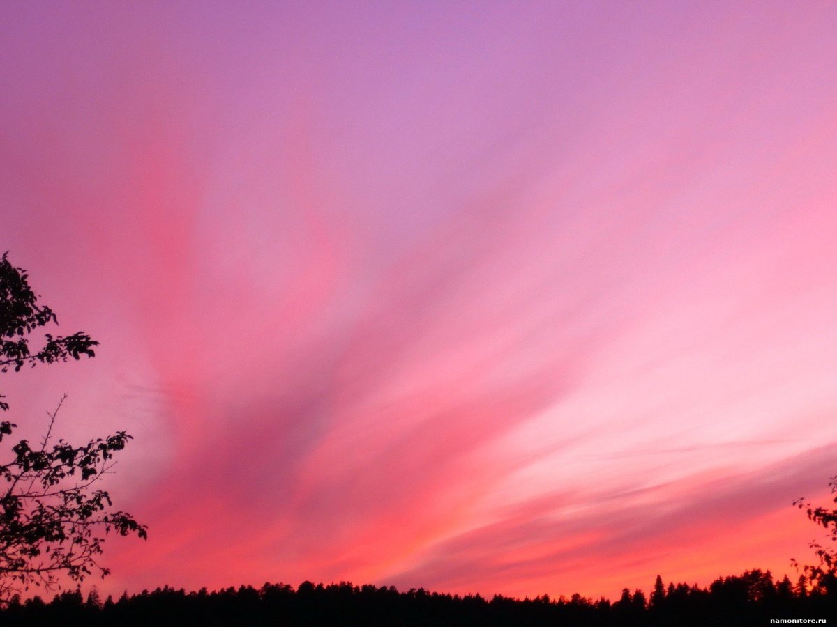 Розовый рассвет