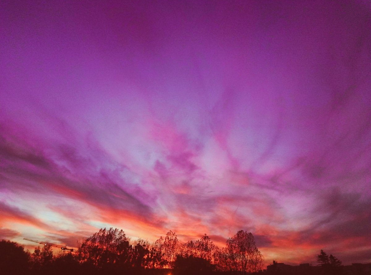 Фиолетовое небо