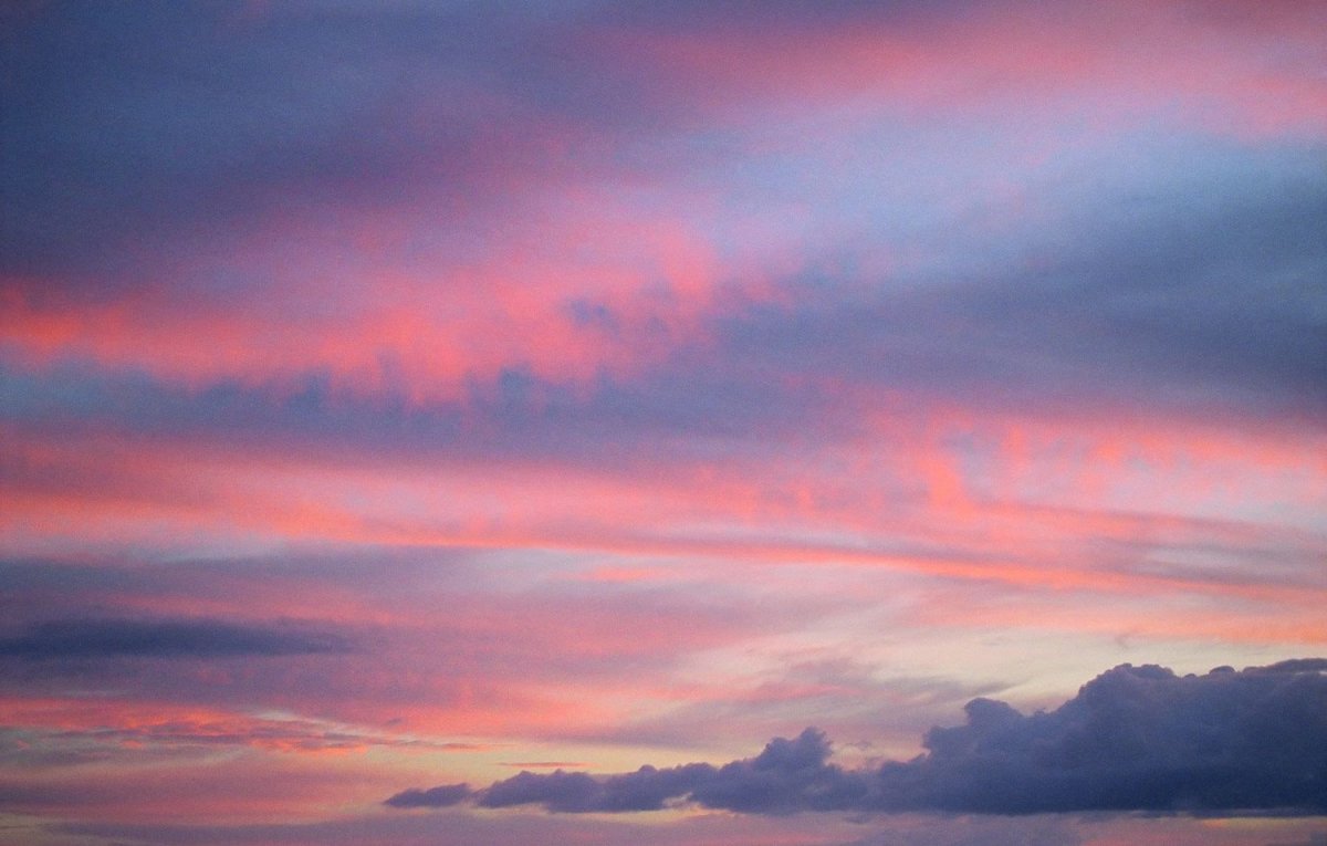 Розовое небо