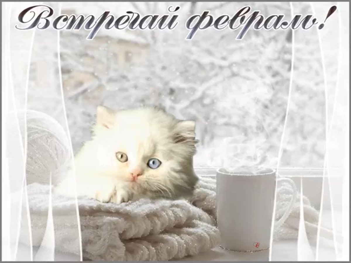 Доброе утро