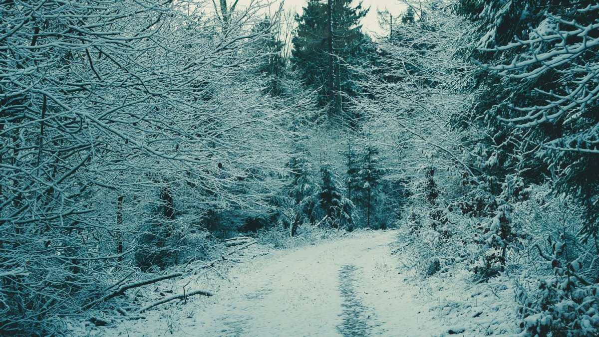 Эстетика зимой