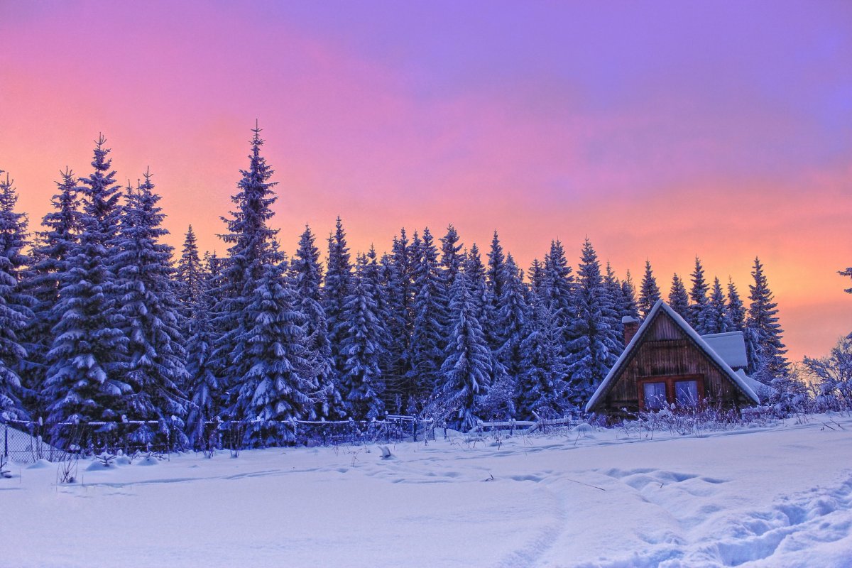 Дом в лесу зима