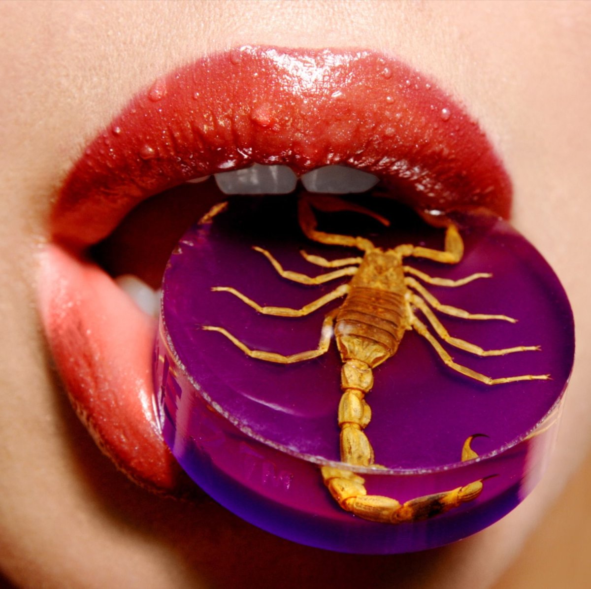 Афоризмы про скорпионов