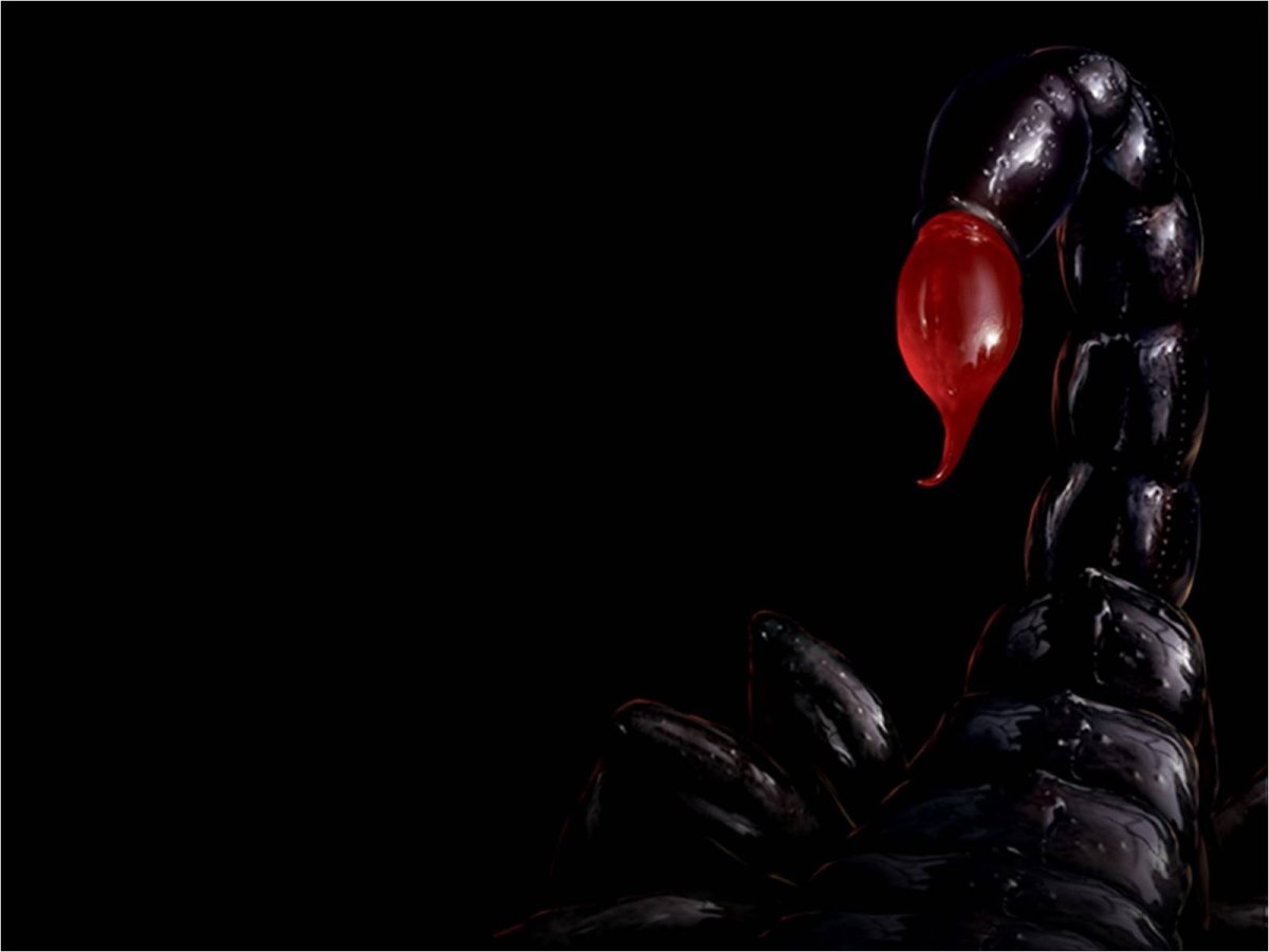 Юмор про скорпионов