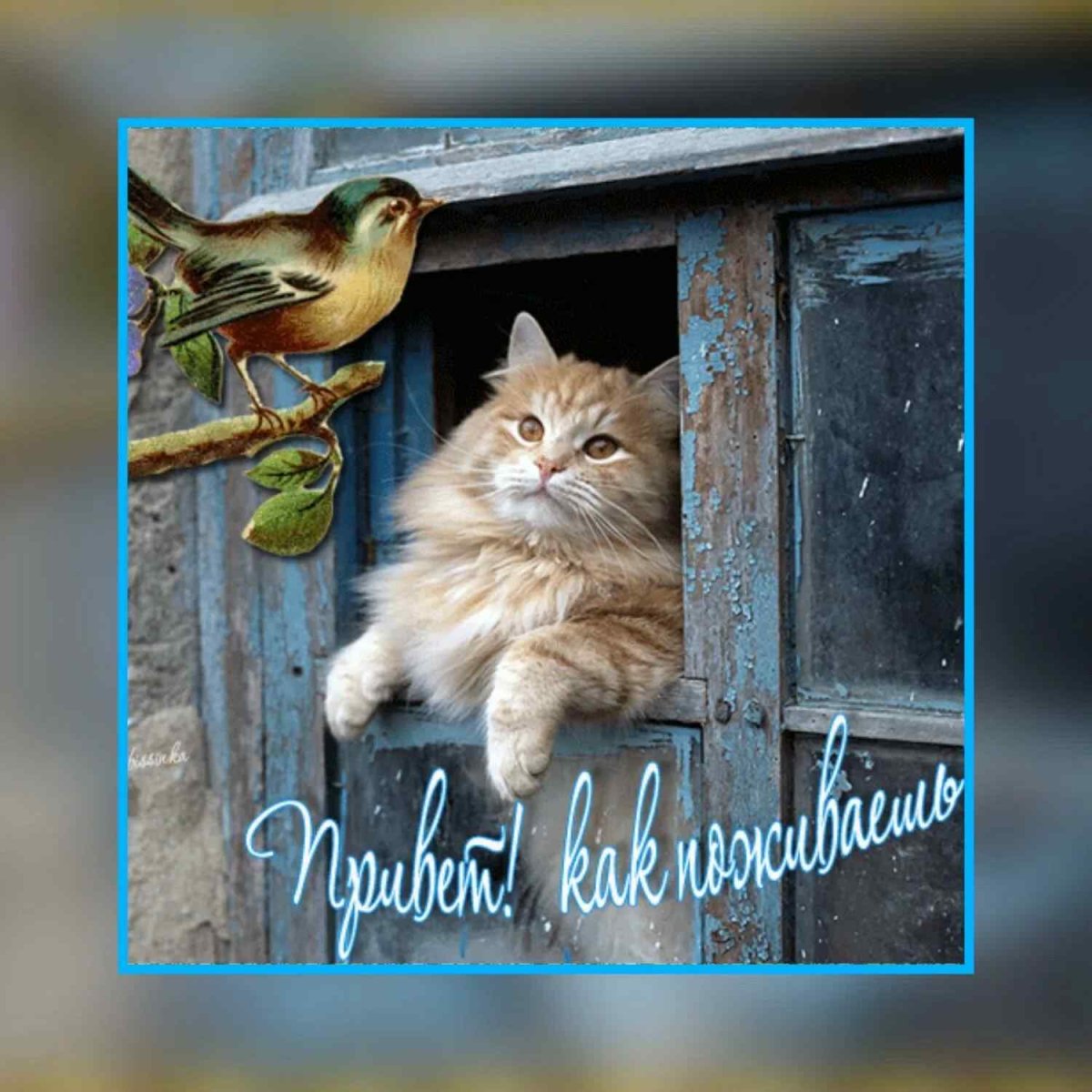 Веселого весеннего дня