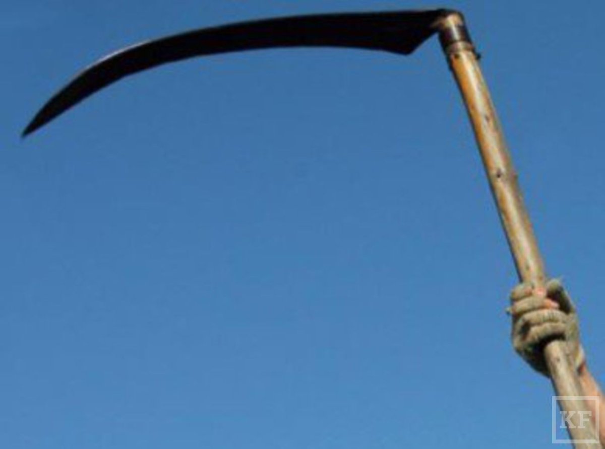 Литовка коса