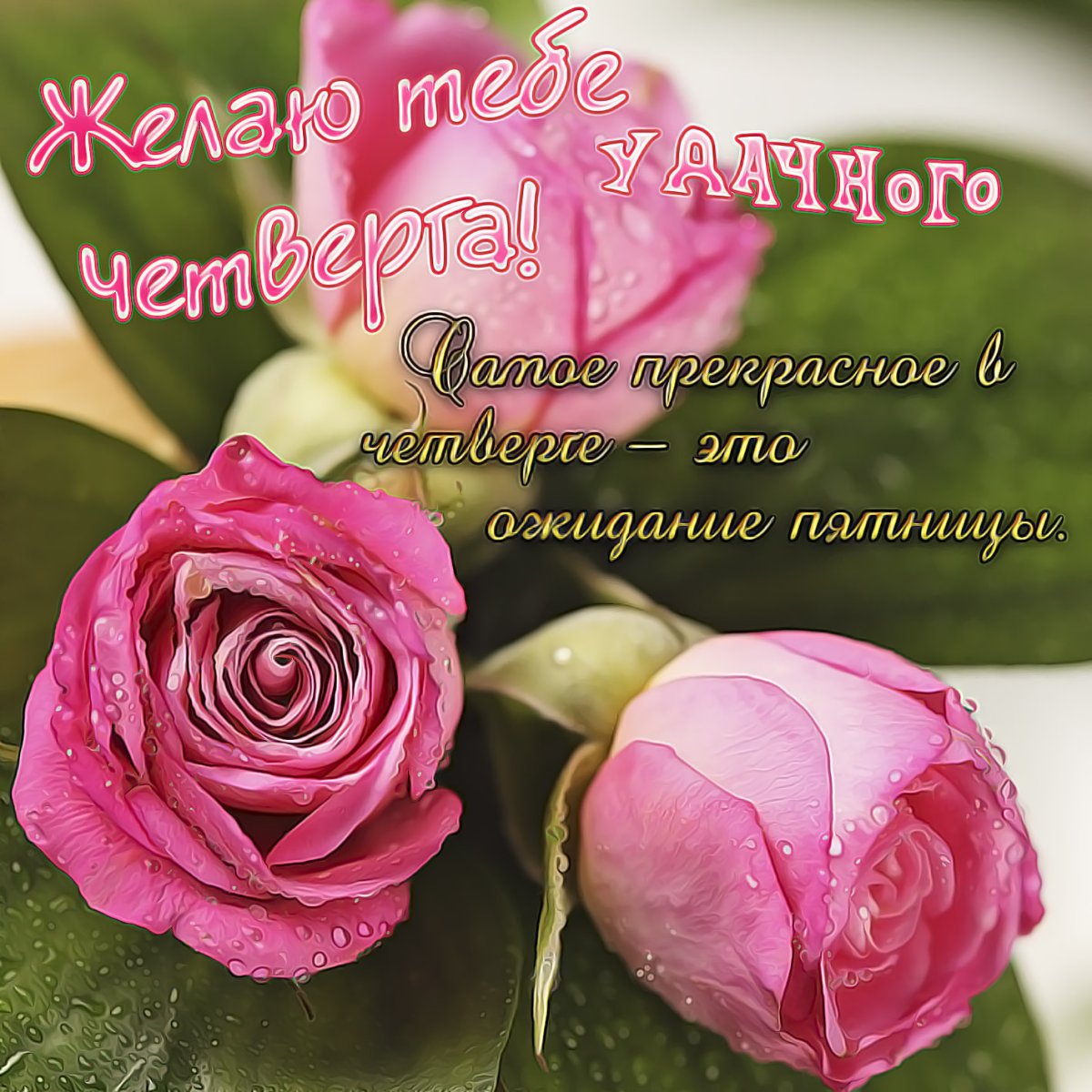 Отличного четверга