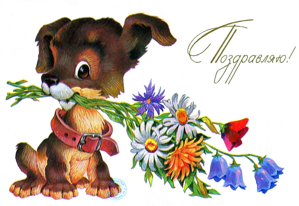 С днём рождения брату