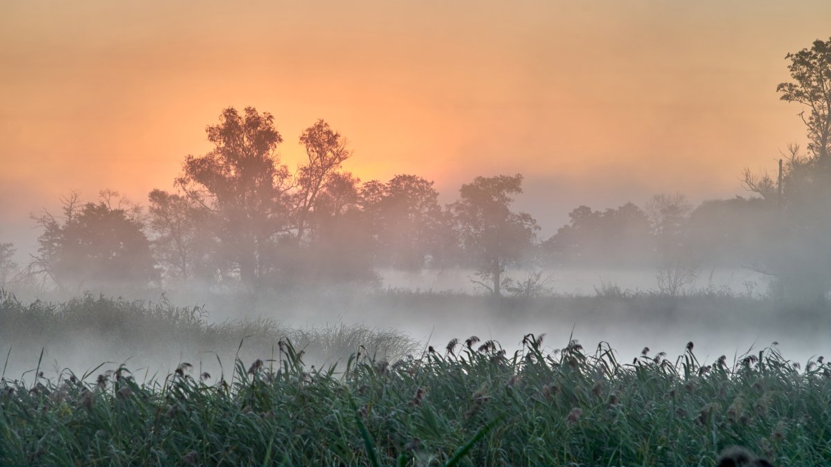 Восходящий туман