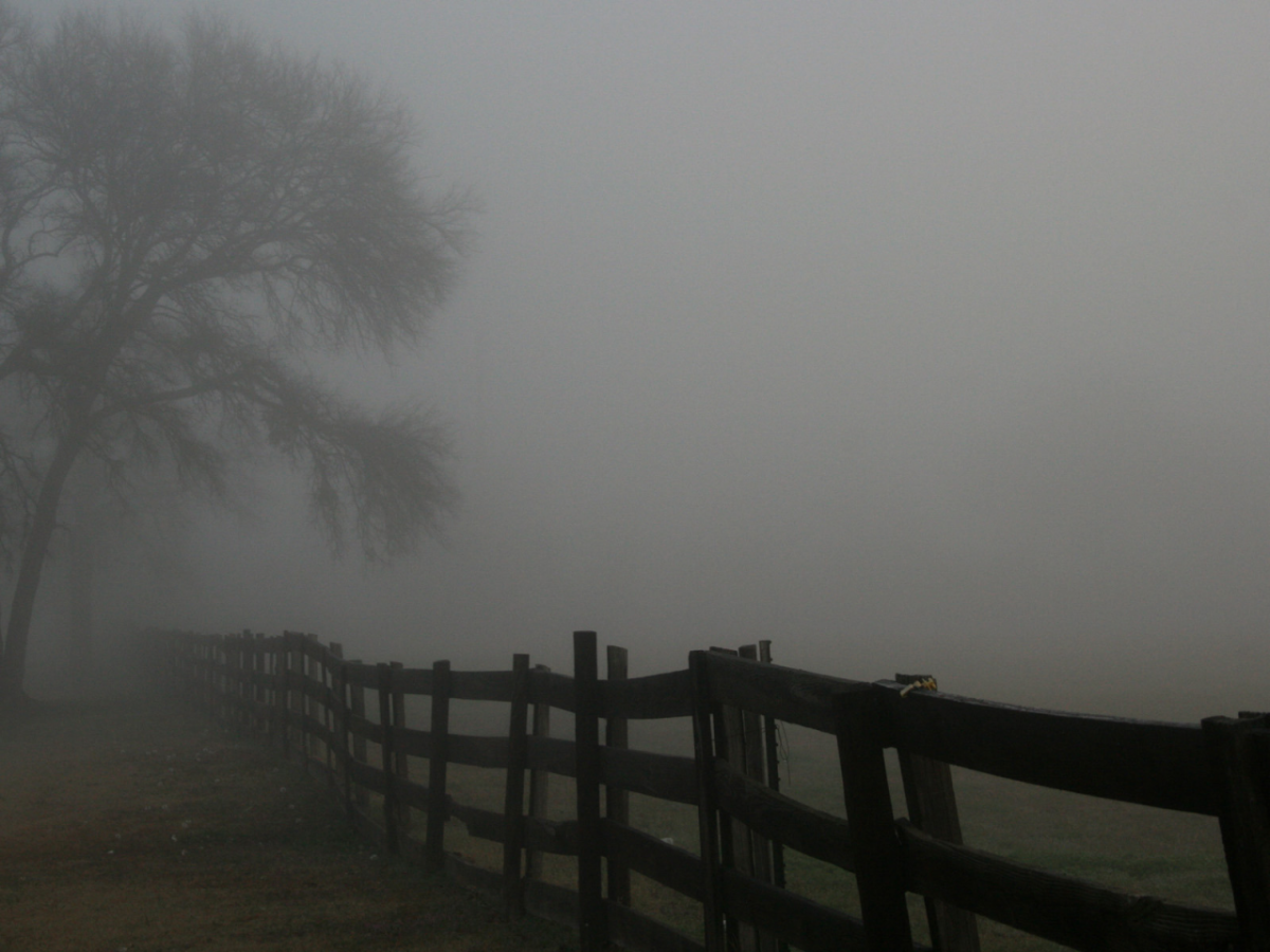 Туман Эстетика деревня