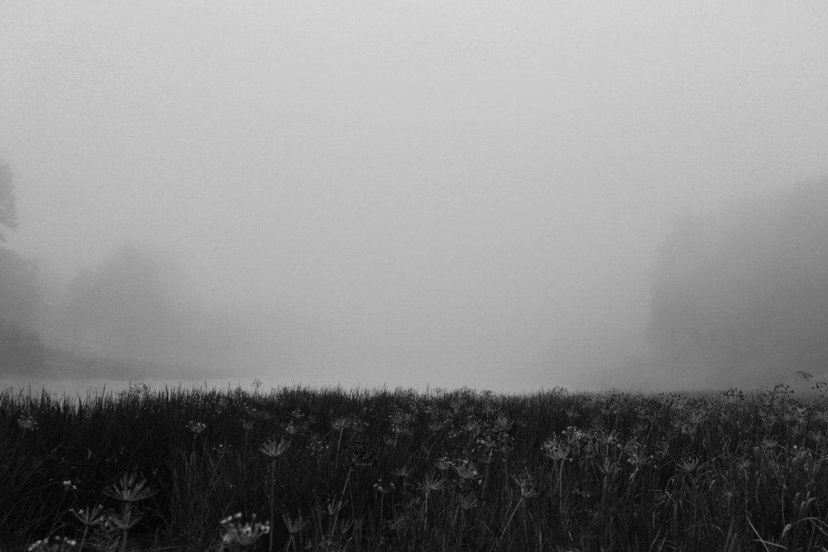 Туман на рабочий стол